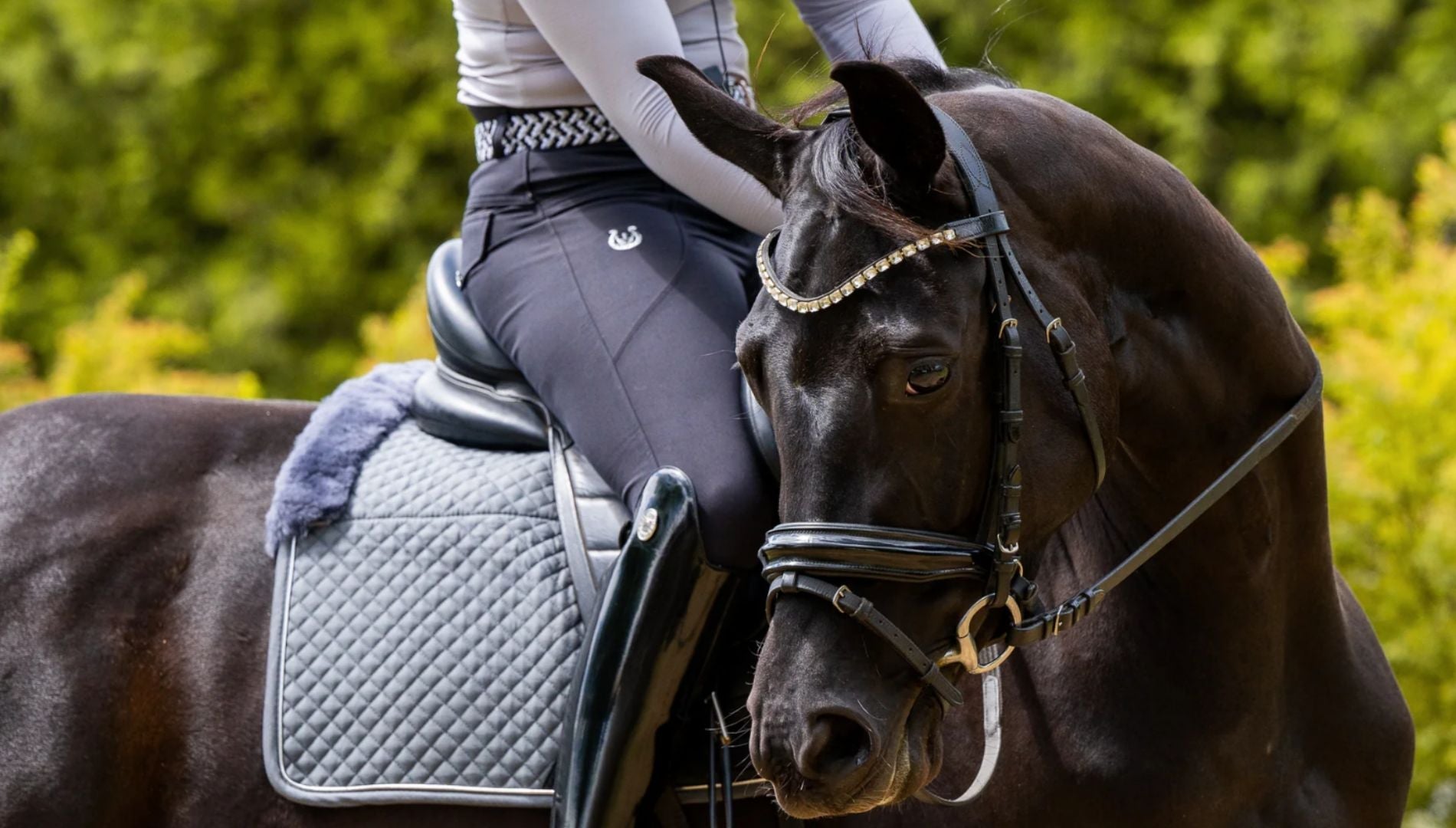 What to Know Before You Purchase a Saddle Pad: A Guide by Equine Collective