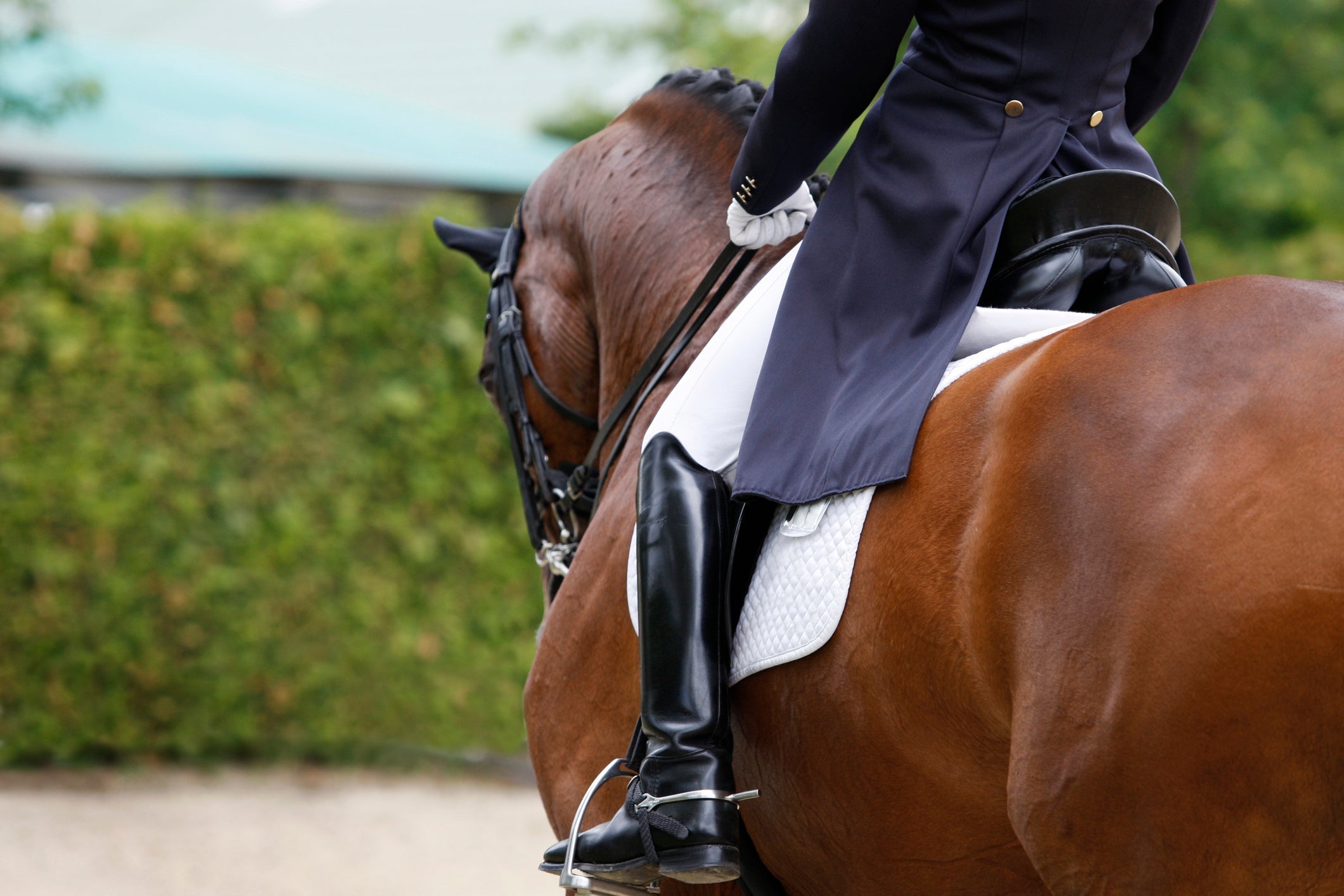 Top 10 Tips for Getting Your Dressage Horse Back in Shape for Spring