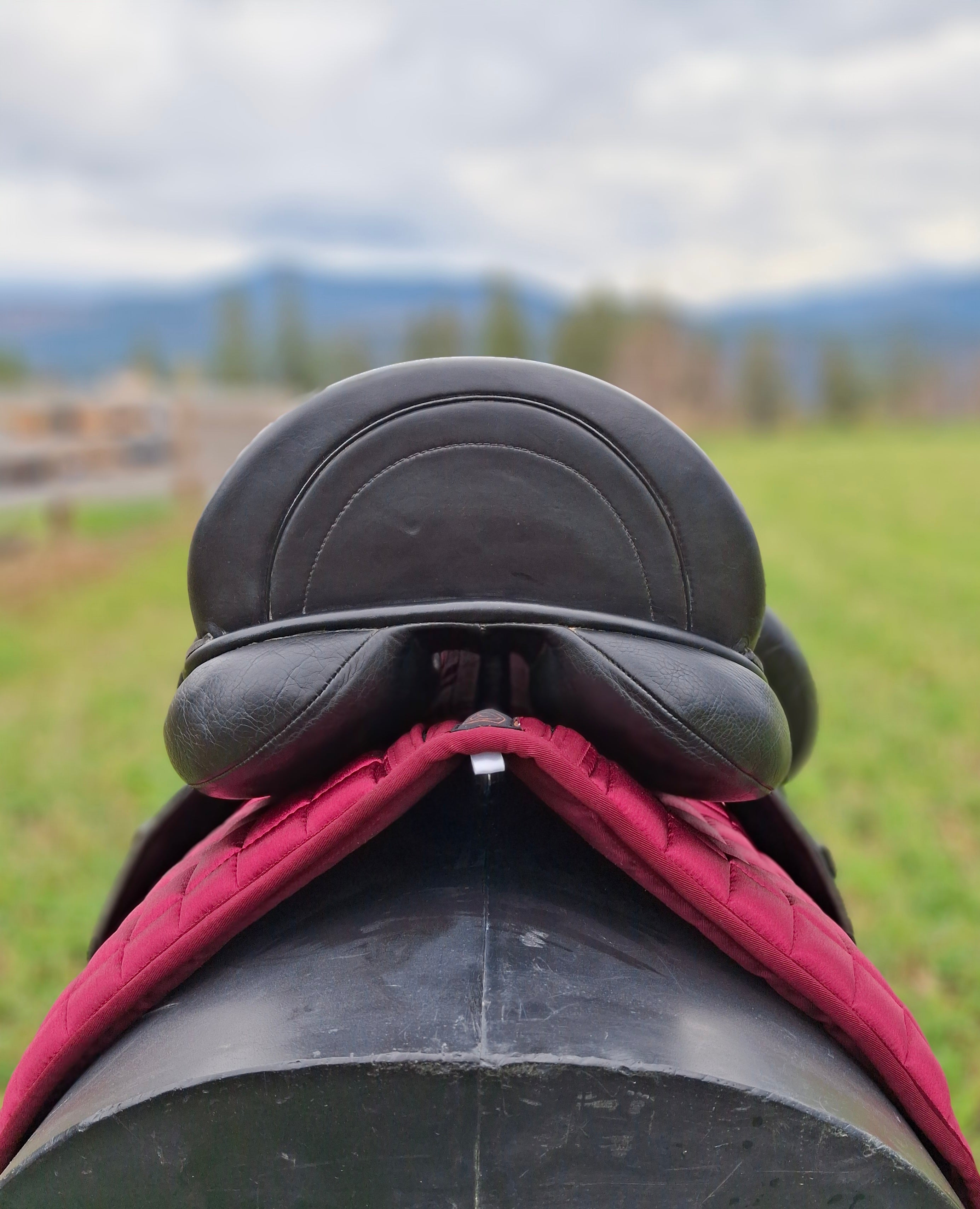 17.5" Used Custom Icon Flight Dressage Saddle