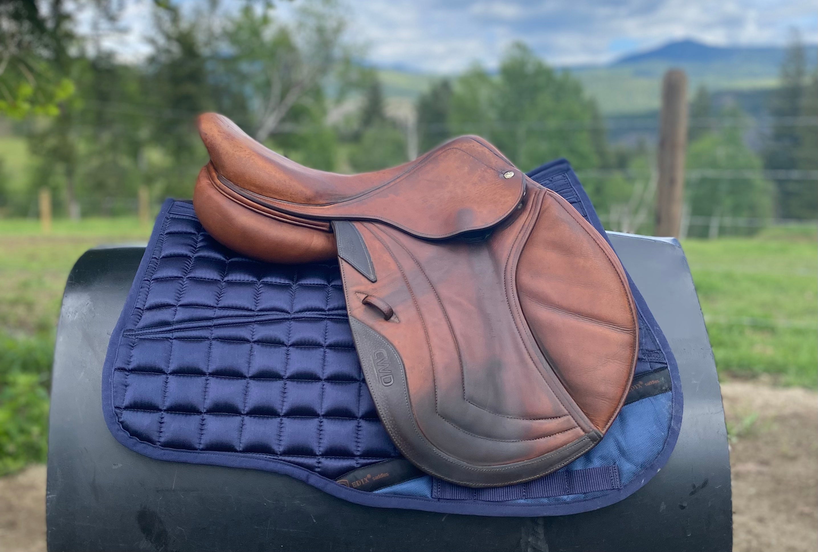 Used 17" CWD SE02 Jump Saddle