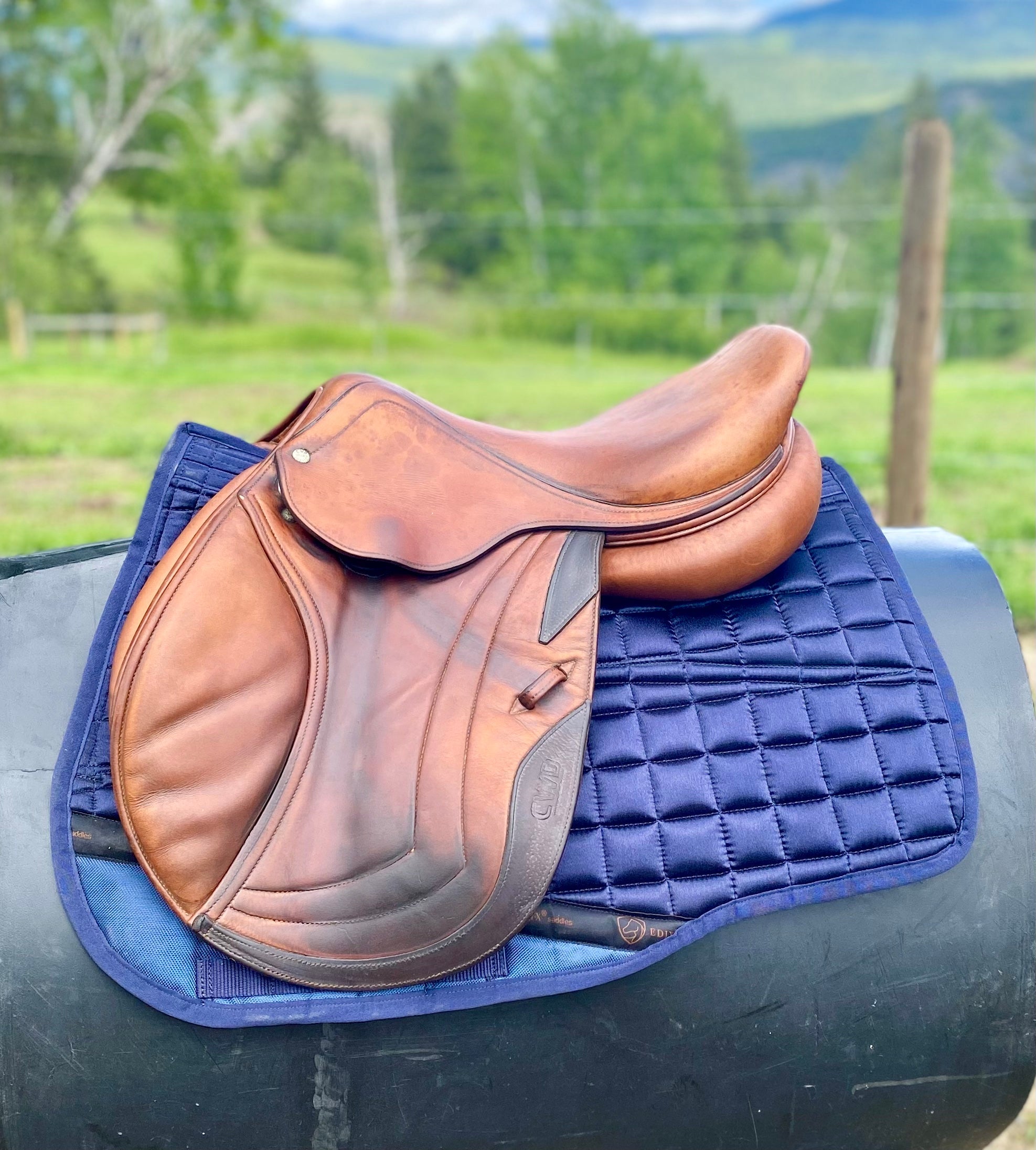 Used 17" CWD SE02 Jump Saddle