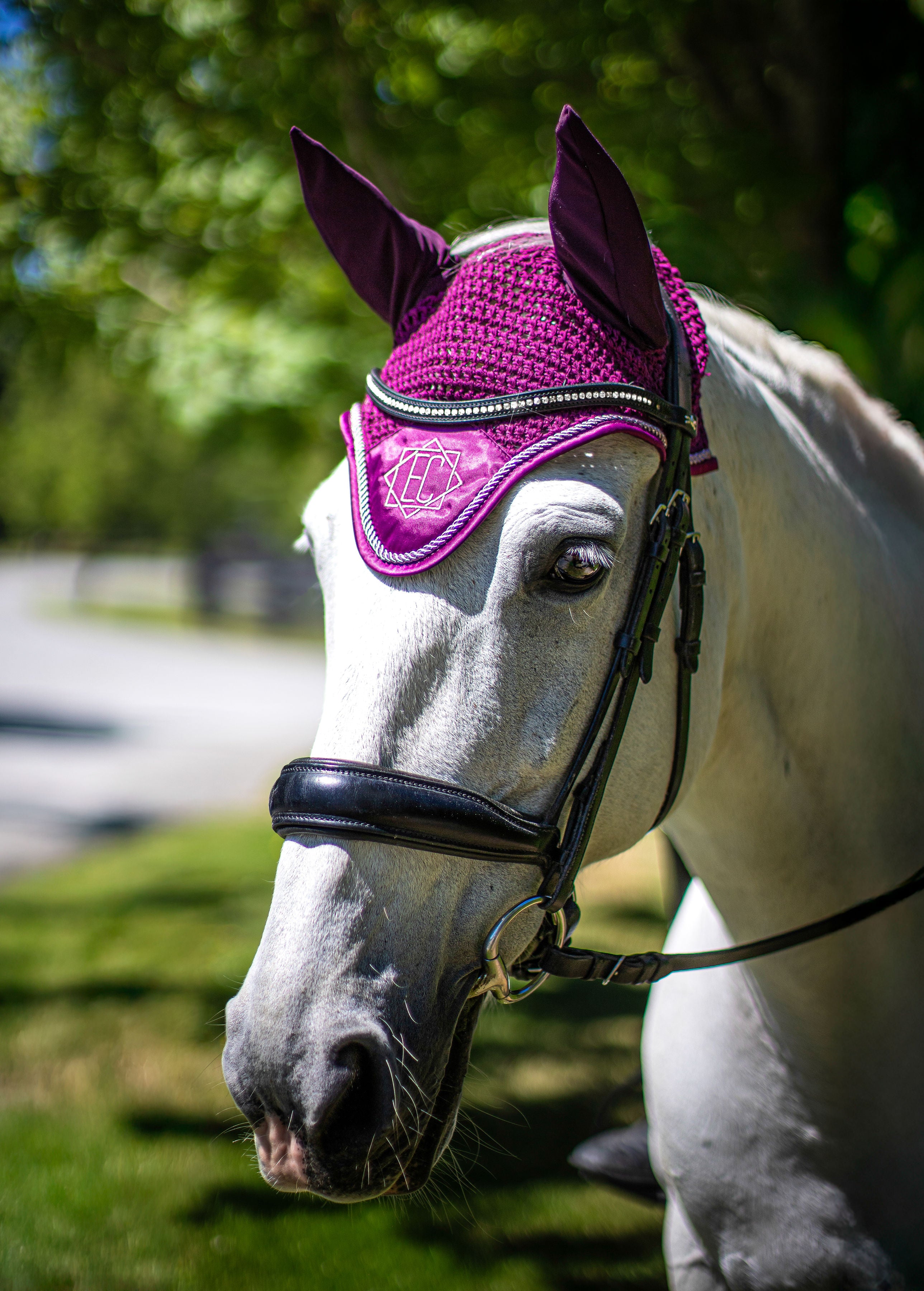 Berry Crush Bonnet