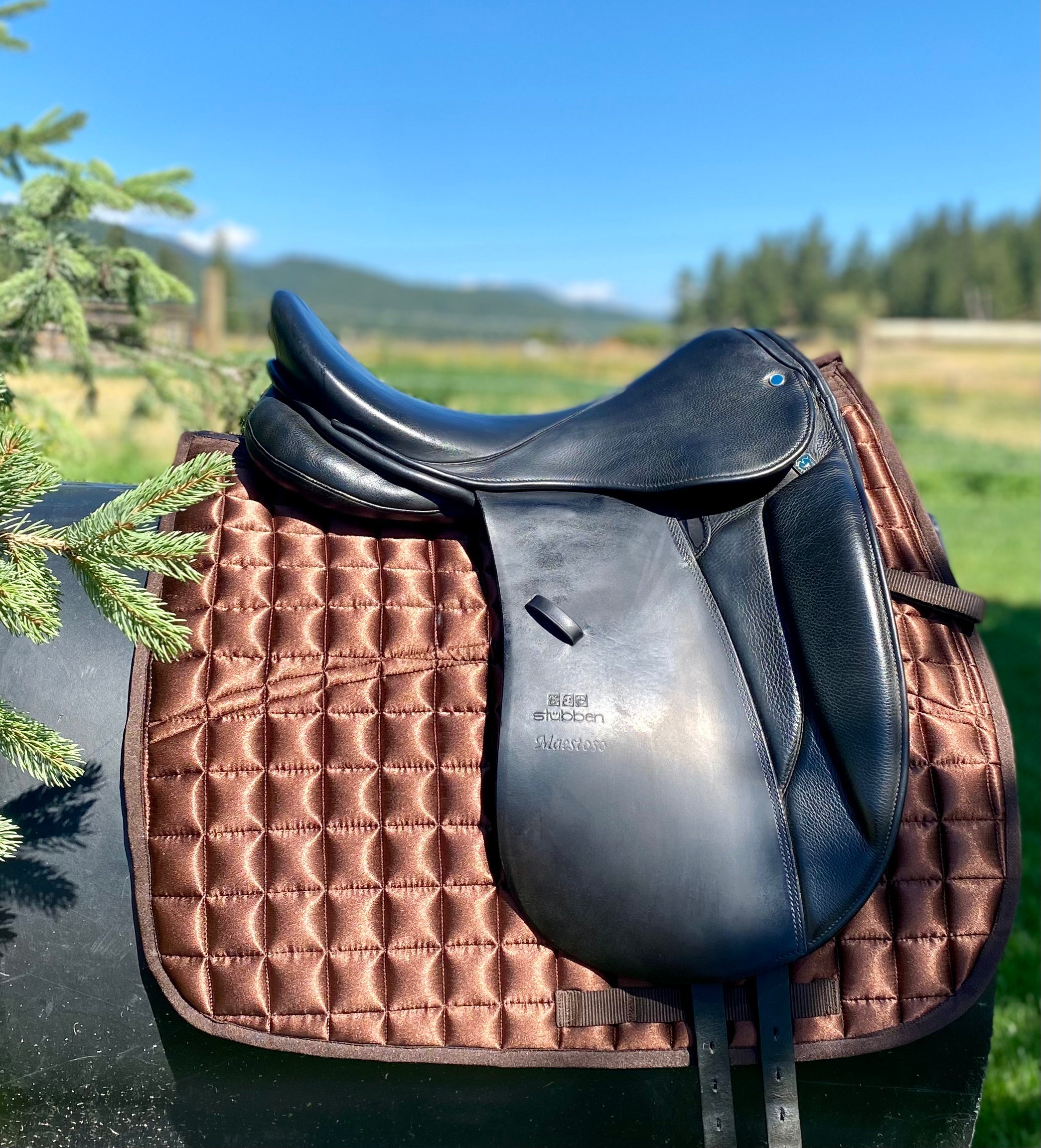 Used 18" Stubben Maestoso Dressage Saddle