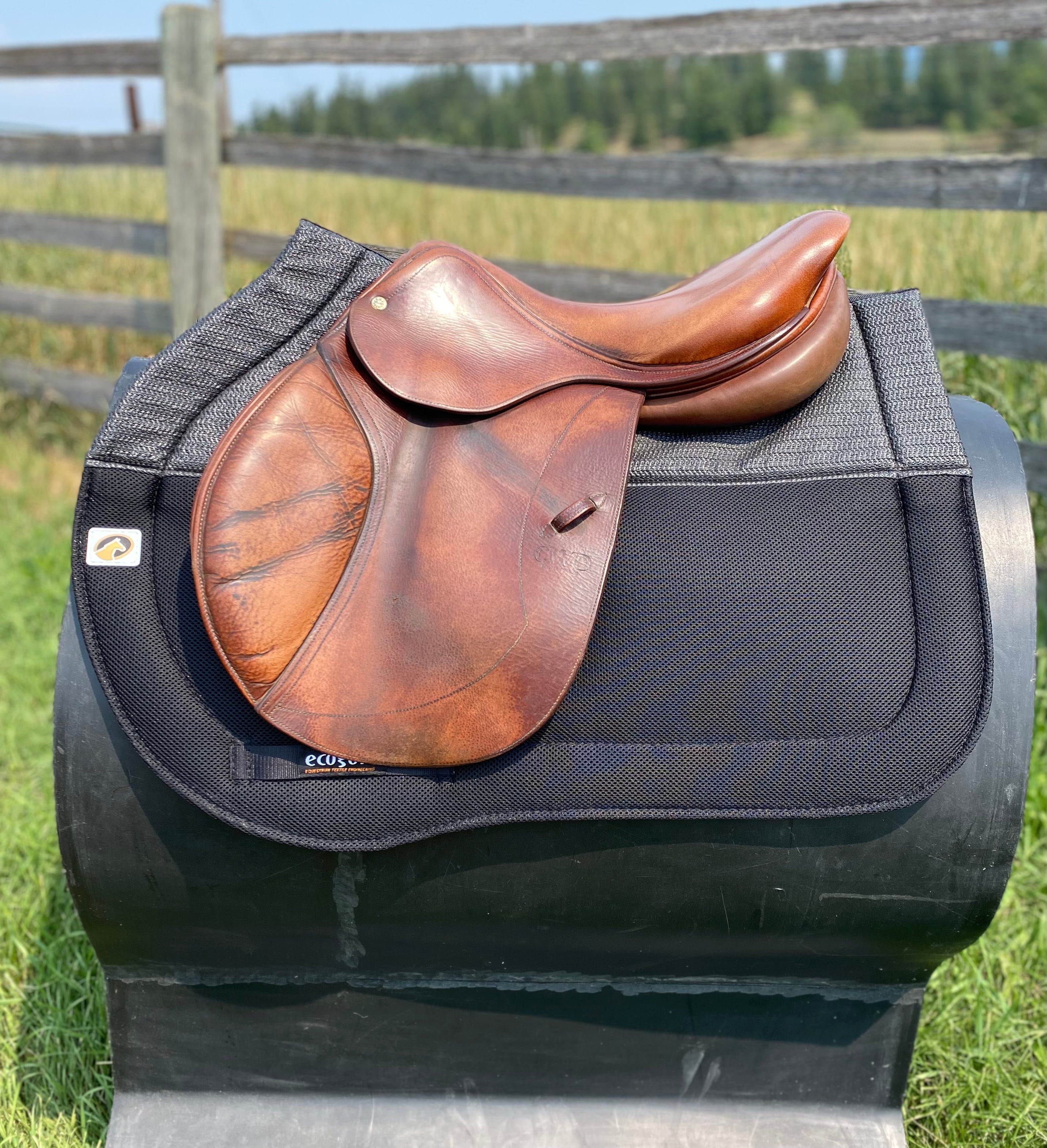 Used 17" CWD Jump Saddle