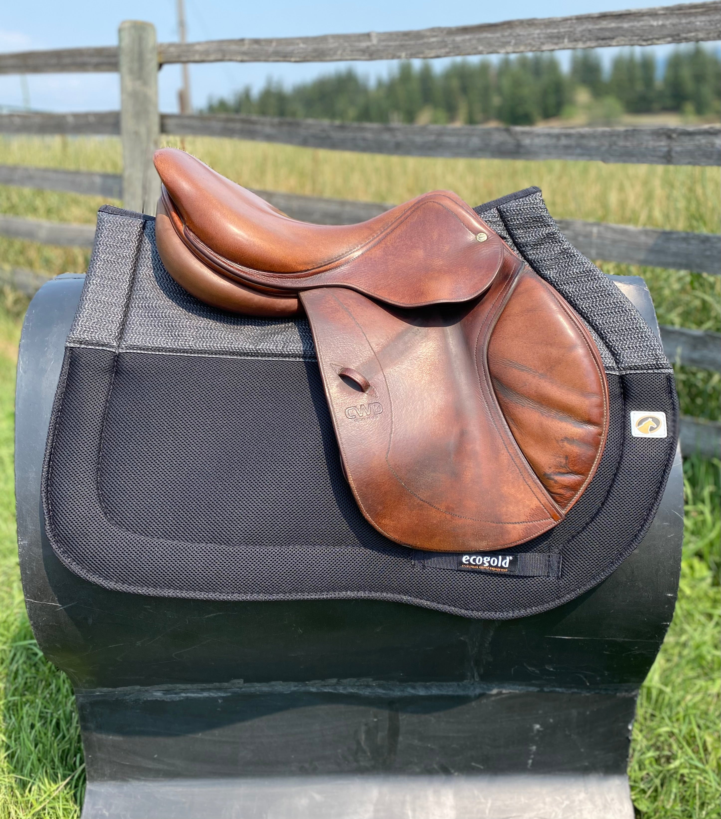 Used 17" CWD Jump Saddle