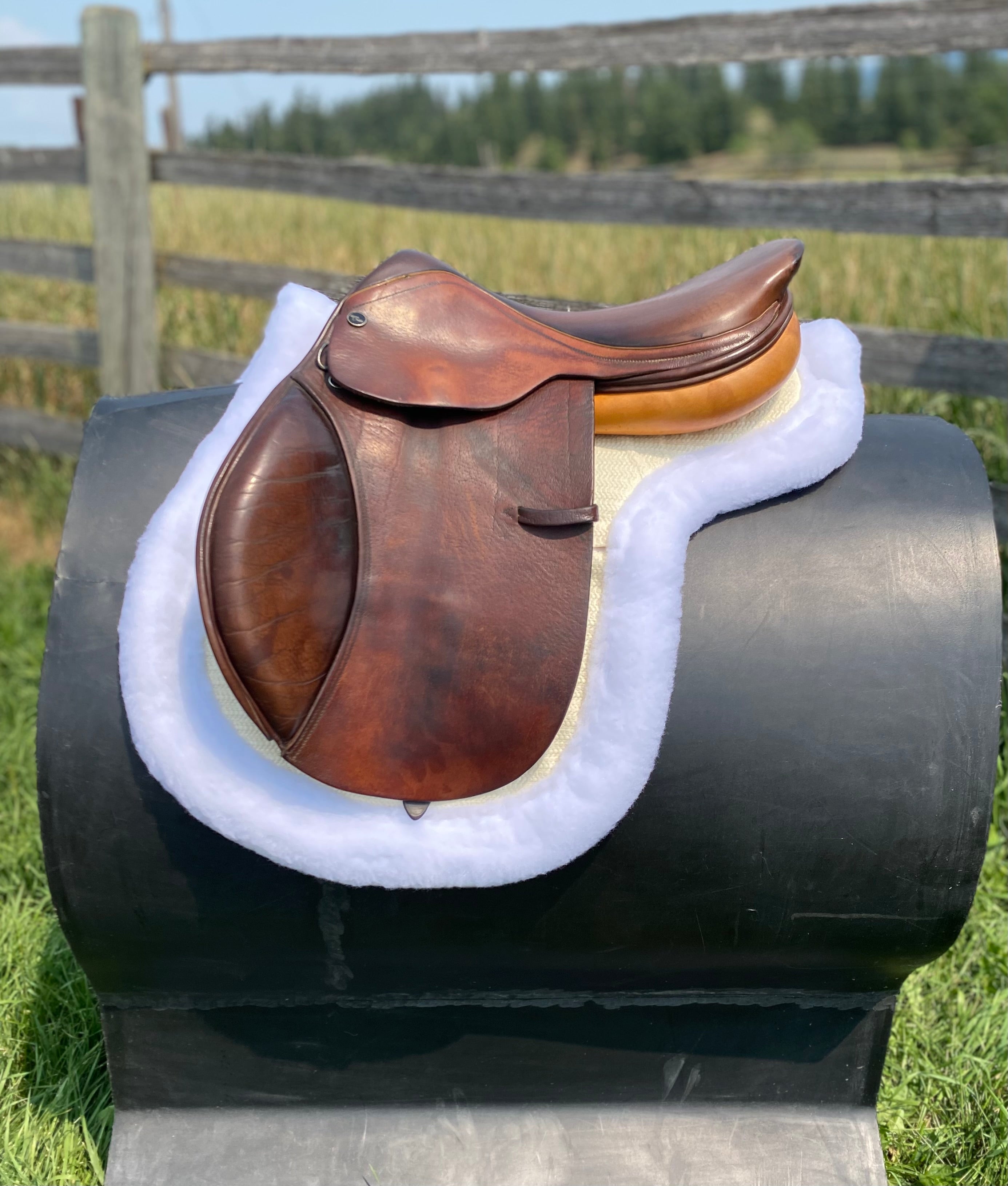 Used 16" Harry Dabbs Jump Saddle