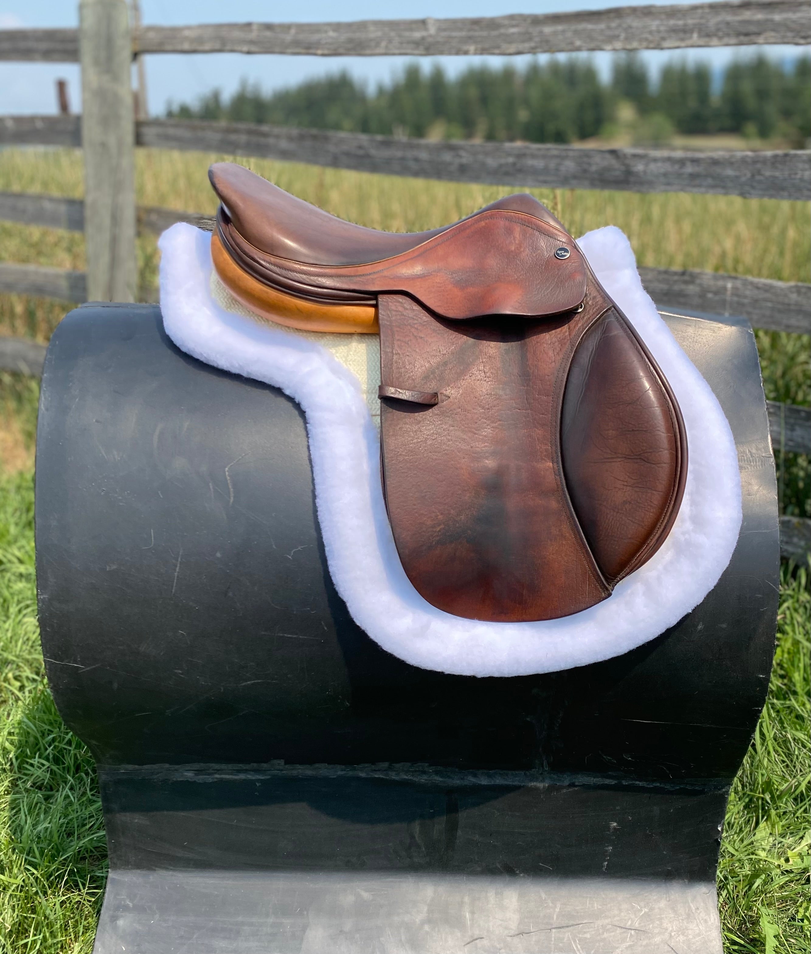 Used 16" Harry Dabbs Jump Saddle