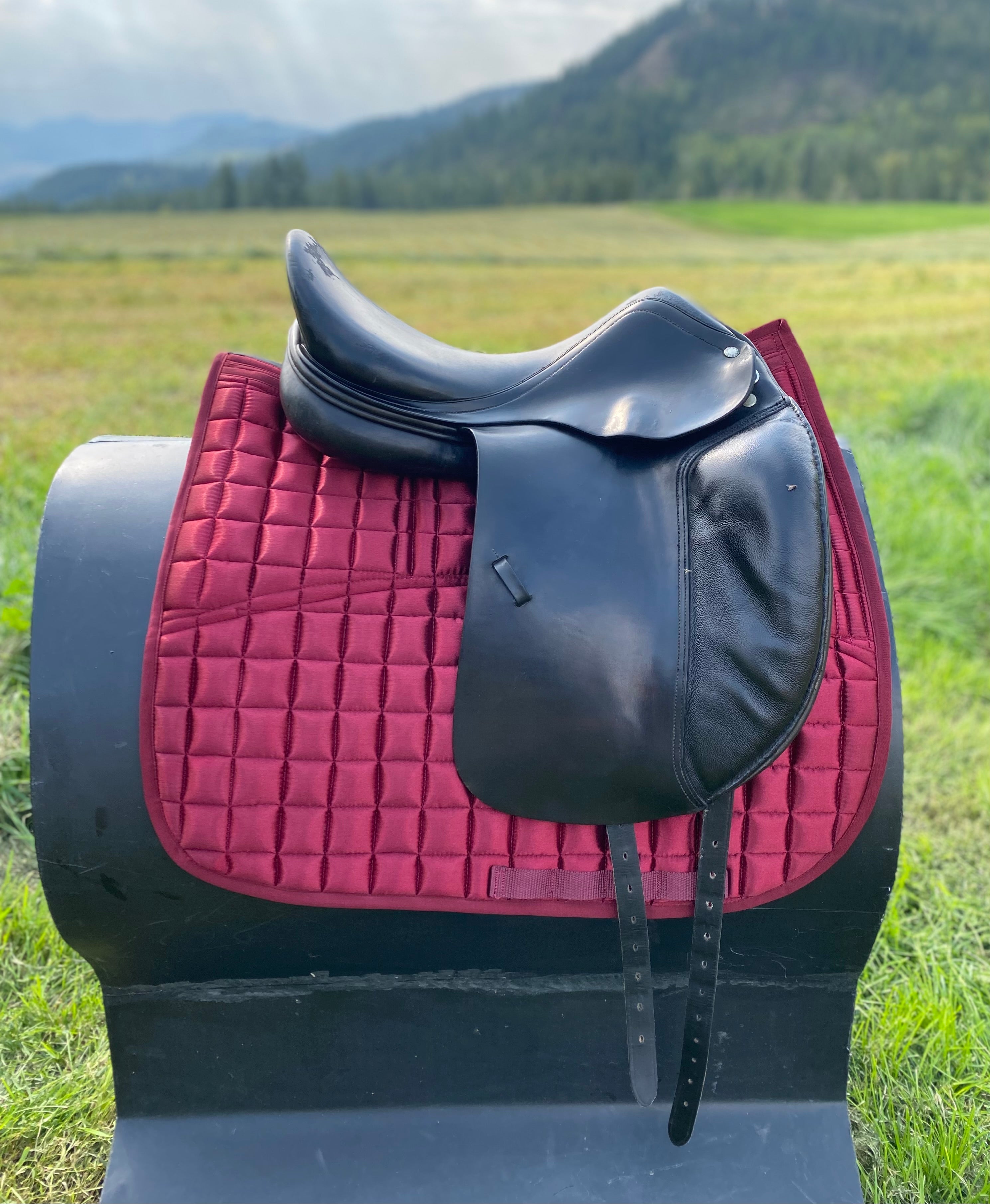 Used Amerigo 17" Dressage Saddle