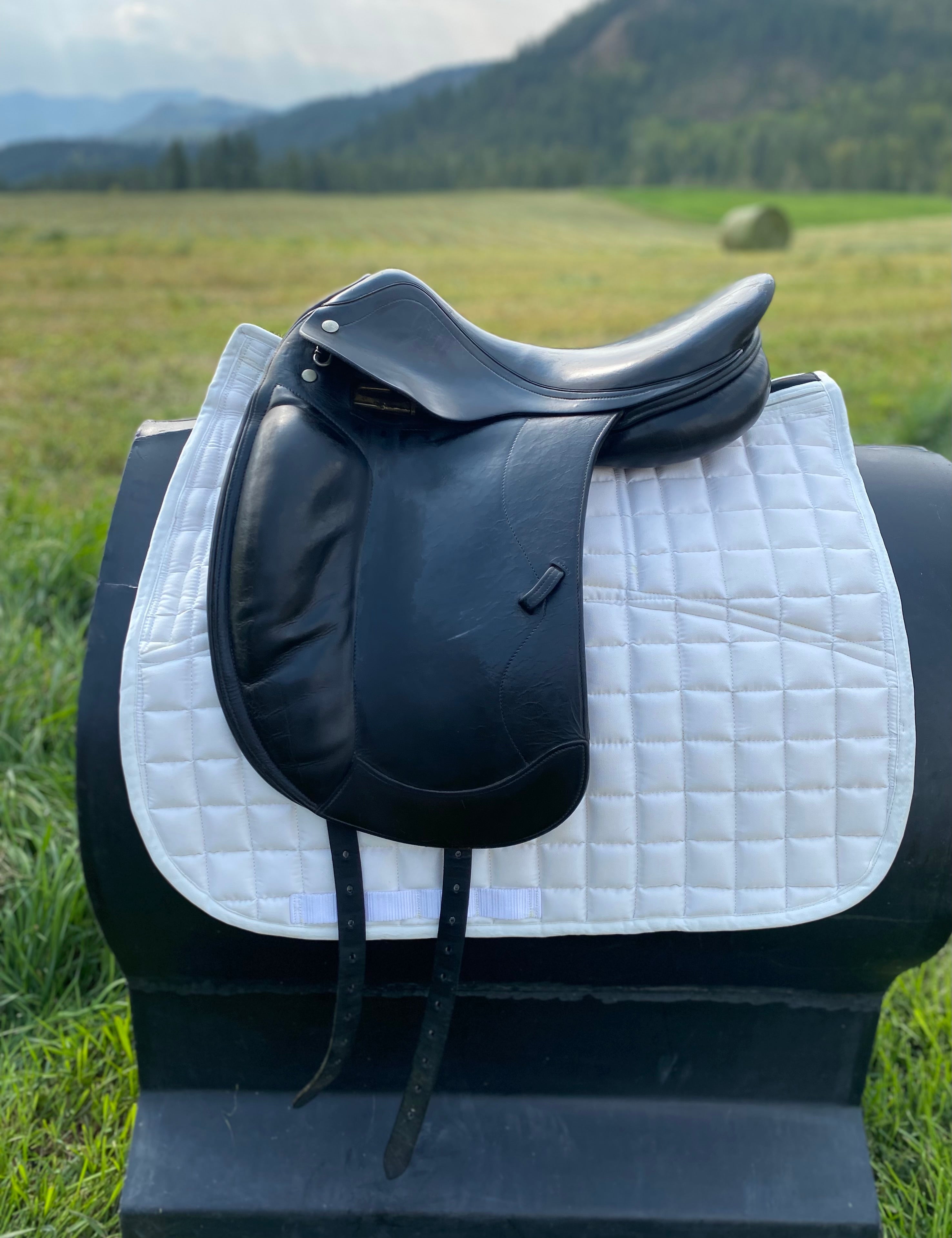 Used Amerigo 17" Dressage Saddle