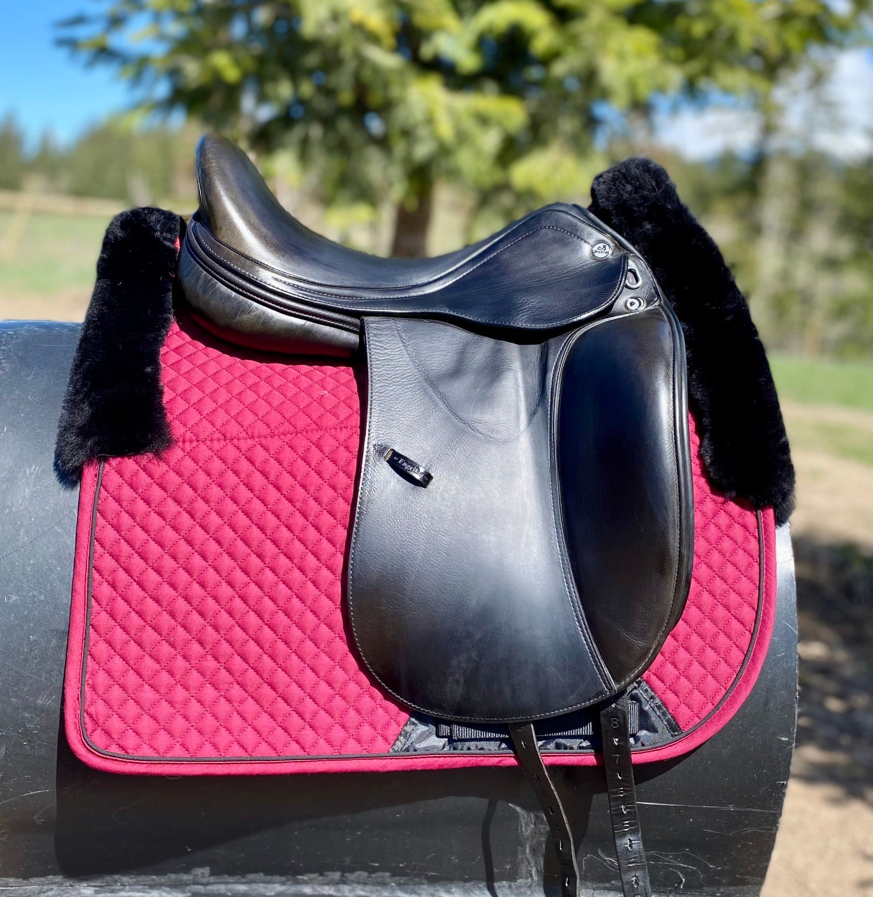 Used Prestige X-D1 17" Dressage Saddle