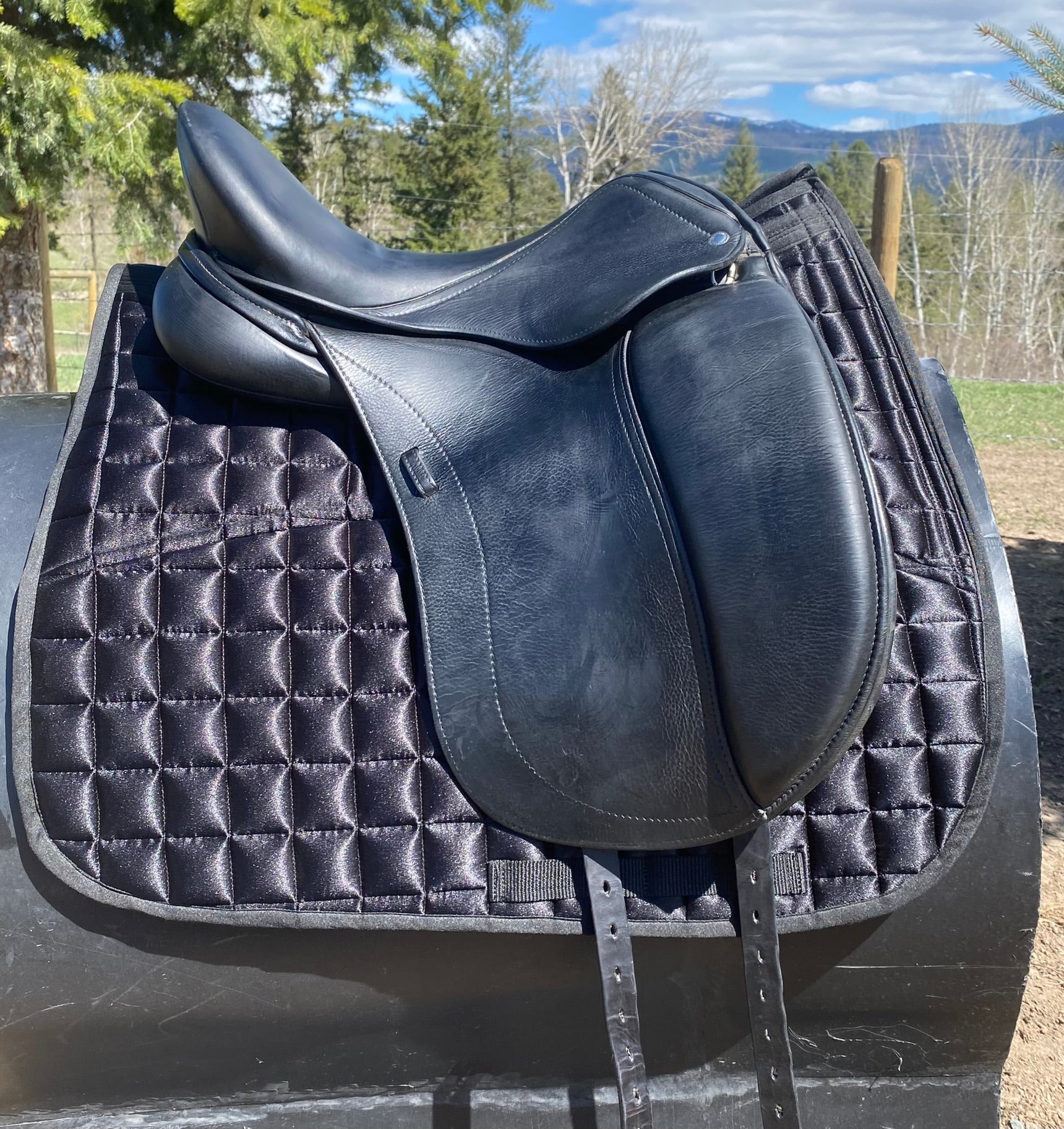 Used Schleese HK 17.5" Dressage Saddle